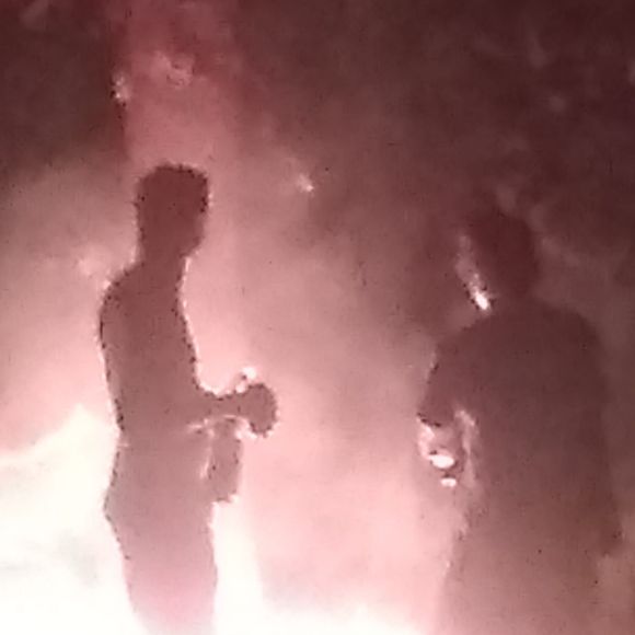 Meet your Posher, Morgan - Picture 1 of 1